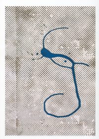 1988, silkscreen on cardboard, 68 x 98 cm